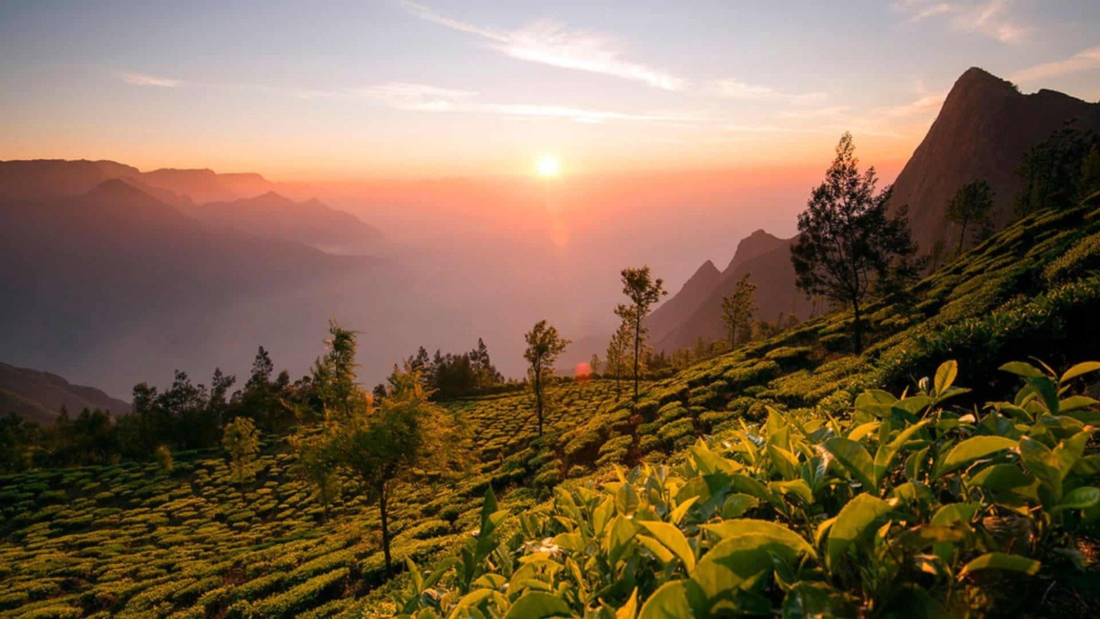 Munnar Thekkady Varkala Kanyakumari Taxi Package